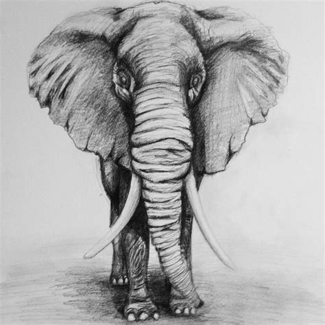 Elephant Drawing By G Freak On Deviantart