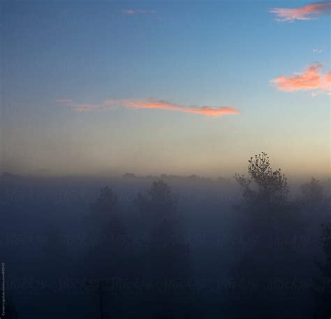 Beautiful Foggy Morning Sunrise Del Colaborador De Stocksy Carolyn