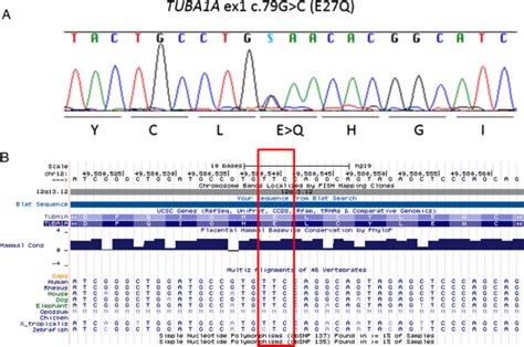 Results Of Sanger Sequencing And A Map Of The Identified Mutation Download Scientific Diagram