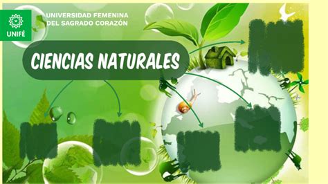 Cuadernillo #6 elaborado durante el año 2012 (sin terminar). CIENCIAS NATURALES by Maricielo Burgos on Prezi Next