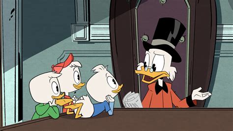 ducktales theme song but with real ducks mnseoseols