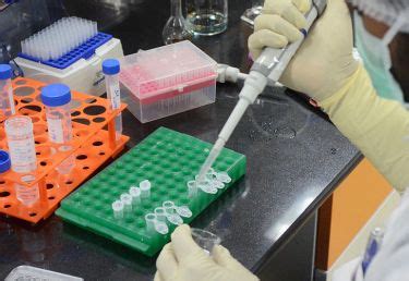 Explore more on coronavirus vaccine. Govt announces Rs. 900-Cr for COVID-19 Vaccine Development ...