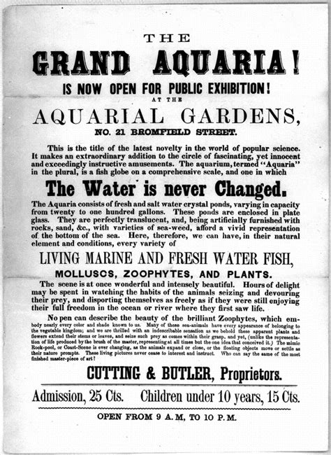 The Grand Aquaria Is Now Open For Public Exhibition At The Aquarial