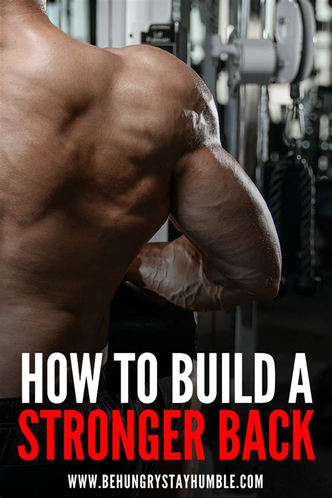 Check Out This Article To Learn What You Need To Know About Building A