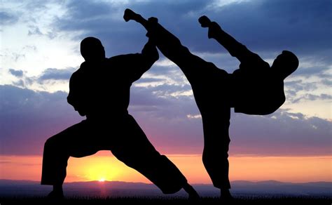 Martial Arts The Best Preparation For Life Black Belt Magazine