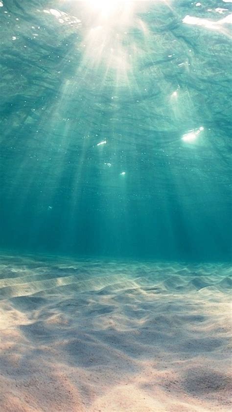 Underwater Ocean Wallpaper 57 Images