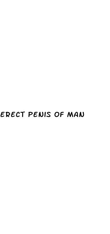 Erect Penis Of Man
