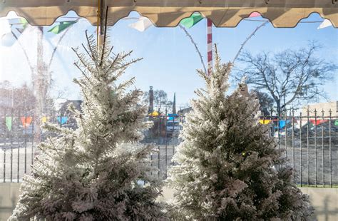 Christmas trees selling well this year despite rising prices