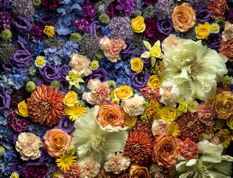 These colorful blooms play an important role in uplifting our moods and filling our lives with optimism. Britain's favourite flower is revealed after nation votes