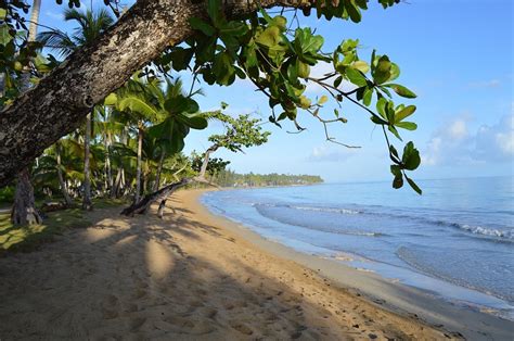 Samaná El Secreto Mejor Guardado De Dominicana Placeres