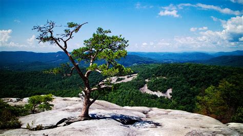 Is dominated, unsurprisingly, by a giant granite dome that looms over park visitors as they hike, fish, picnic, and just enjoy their day at the park. wan-der-lust: Stone Mountain State Park, Roaring Gap, NC