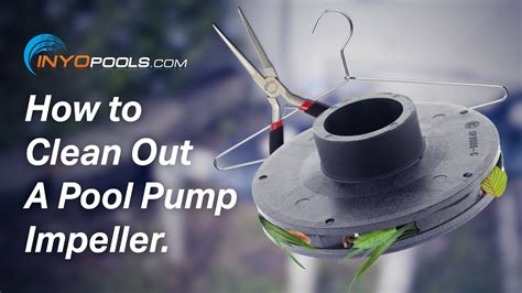 In order for a swimming pool to be free from algae and other harmful contaminants, the pool must. How To: Clean Out A Pool Pump Impeller - YouTube