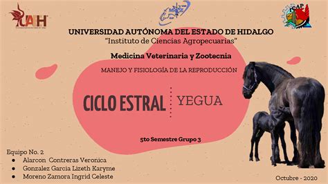 Solution Ciclo Estral De La Yegua Unida3 A1 Studypool
