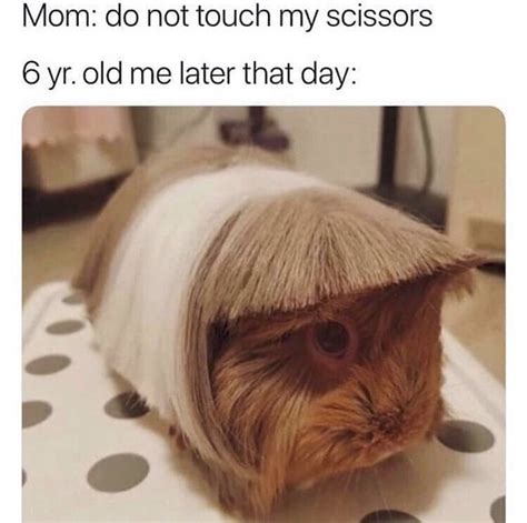 These Haircut Memes Will Convince You To Just Grows Yours Out And Let