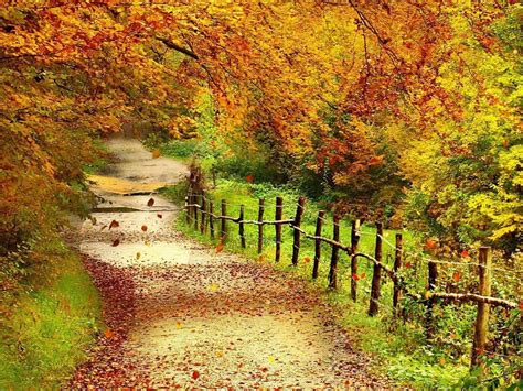 Peaceful Autumn Scene Wallpapers Wallpaper Cave