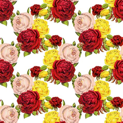Roses Vintage Wallpaper Background Free Stock Photo Public Domain