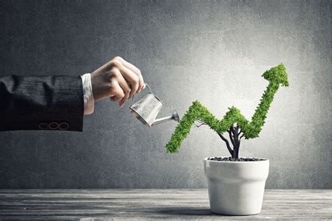 No Mundo Dos Investimentos Não Faltam Opções De Aplicações Financeiras