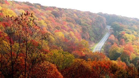 5 Best Spots To See Fall Colors Around North Carolina