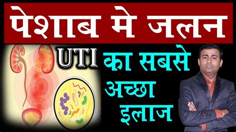 Uti Urinary Tract Infection Treatment Hindi Youtube