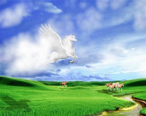 Pegasus uçak bileti fiyatı sorgula, uçuş ara ve ucuz uçak bileti bul. Pegasus Beautiful Wallpapers, Images Desktop Background In ...