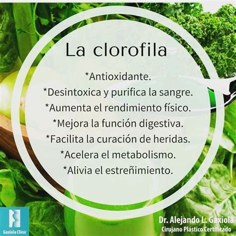 Beneficios de la Clorofila para la salud Además de estos la