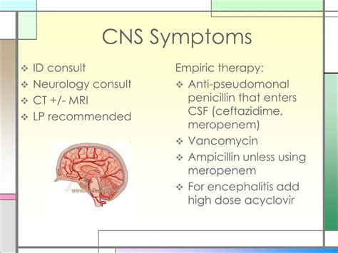 Ppt Febrile Neutropenia A Review Of The Guidelines Powerpoint
