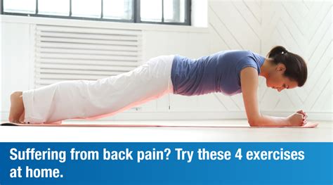 Effective Exercises To Alleviate Back Pain Plexus