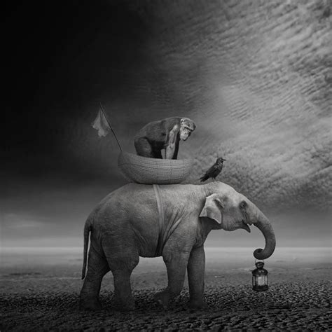 Digital Art Elephant Art Surreal Art Animal Photography