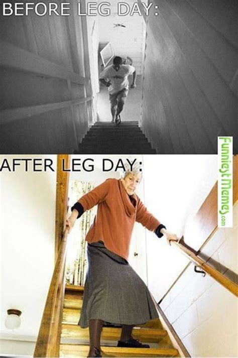50 Hilarious After Leg Day Meme Legs Day Workout Humor Workout