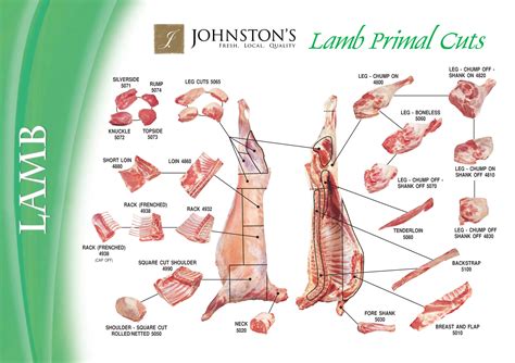Lamb Meat Cutting And Processing For Food Service
