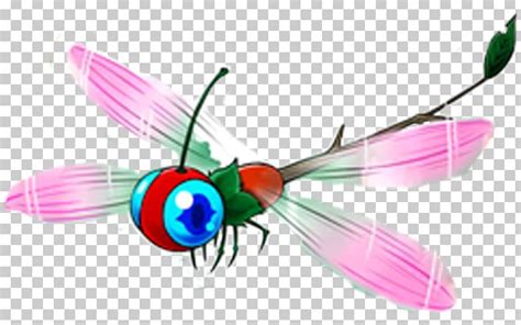 Insect Butterfly Dragonfly Animation Png Clipart Animated Dragonfly