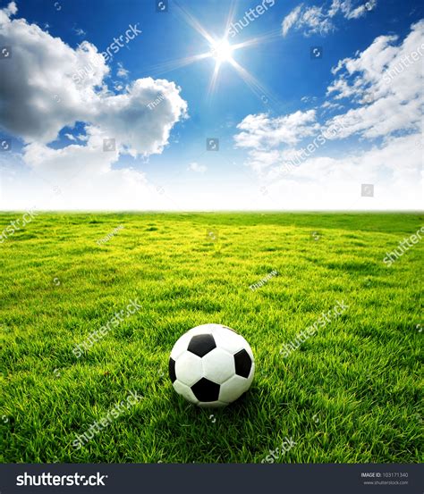 Football Field Soccer Stadium On The Green Grass Blue Sky ...