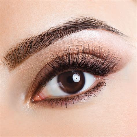 Eyebrow And Eyelash Tinting Treatment Tranquil Beauty Lounge