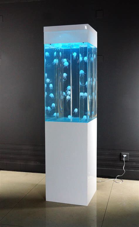 Jellyfish Bubble Panels Bespoke Designer Aquariums And Custom Fish