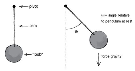 A Simple Pendulum Diagram