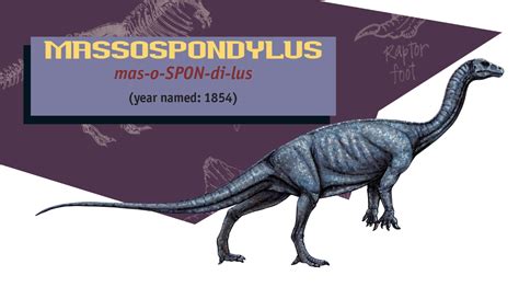 Jurassic Parkjurassic World Guide Massospondylus By Maastrichiangguy