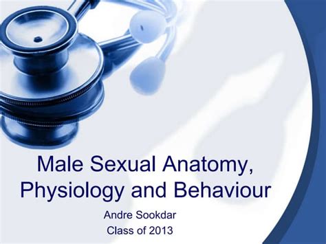 Male Sexual Anatomy Physiology And Behaviour Ppt