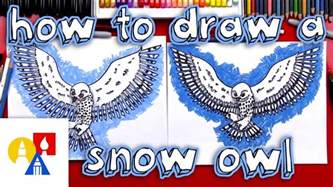 How To Draw A Realistic Snow Owl Youtube