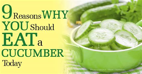 Plantinumways Top 9 Nutritional Benefits Of Cucumber
