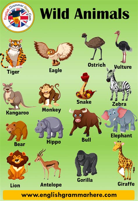 10 Wild Animals Name Wild Animals In English English Grammar Here