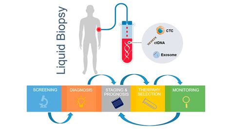 The Utility Of Liquid Biopsy In Oncology Clinical Trials Xtalks