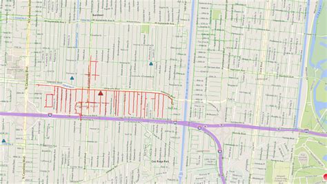 Fallen Tree Causes Power Outage In Metairie