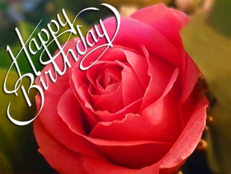 Jun 18, 2020 · sometimes we want to send a birthday message but the timing or the relationship is complicated. 60 Sweet Birthday Wishes For Girlfriend » True Love Words