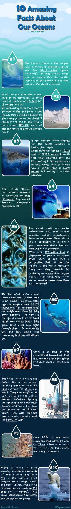 1000+ images about Fun facts about scuba & the oceans! on Pinterest