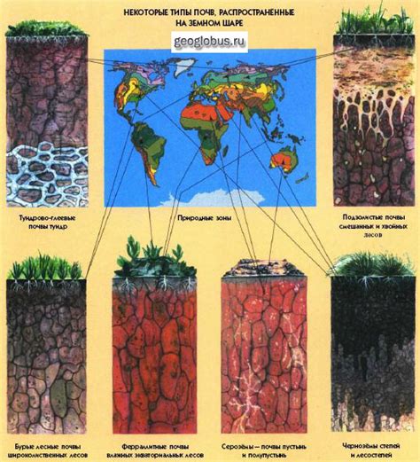 Распространенность основных типов почв мира и степень их освоения
