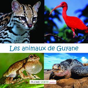 Les Animaux De Guyane Indd Plume Verte