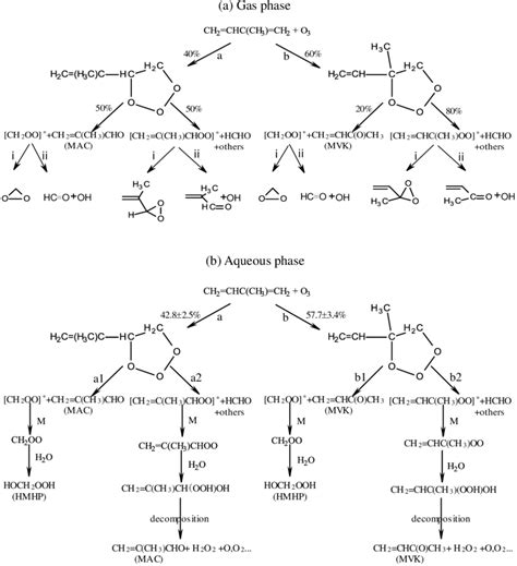 Mechanisms Of Ozonolysis Of Isoprene In A The Gas Phase And B
