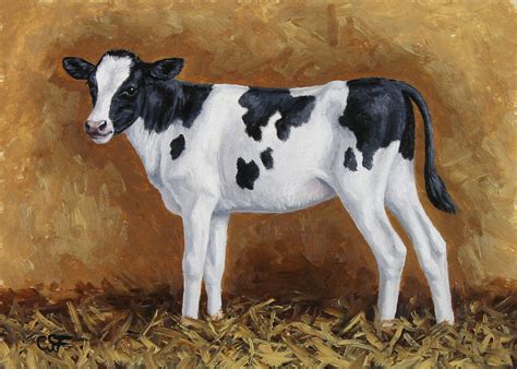Holstein Calf Painting By Crista Forest Fine Art America