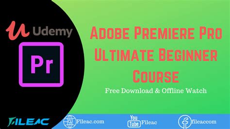 Greenscreen, captions, proxies & more udemy 5. Udemy Adobe Premiere Pro Ultimate Beginner Course - FileAC