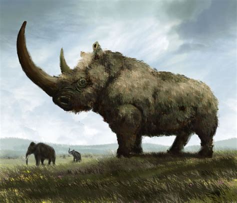 Woolly Rhinoceros By Mihin89 On Deviantart Stone Age Animals Ancient